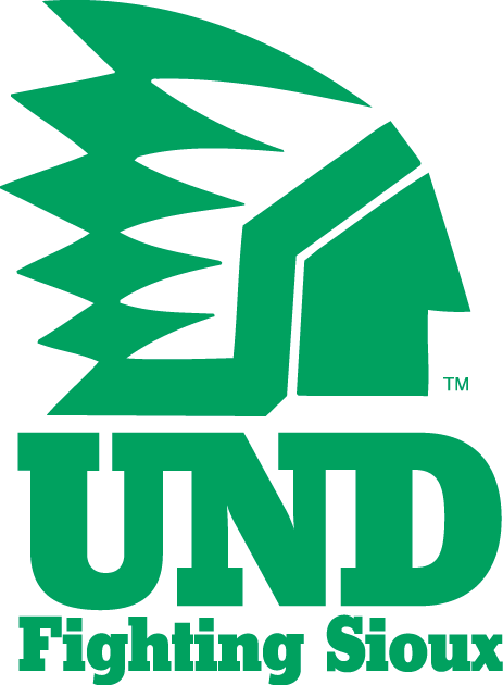 North Dakota Fighting Hawks 1976-1999 Alternate Logo v2 diy iron on heat transfer